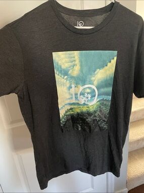 tentree Charcoal Short Sleeve Tee with Teal and Yellow Graphic Men’s Large